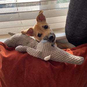 Extra Sterk Honden Speeltje