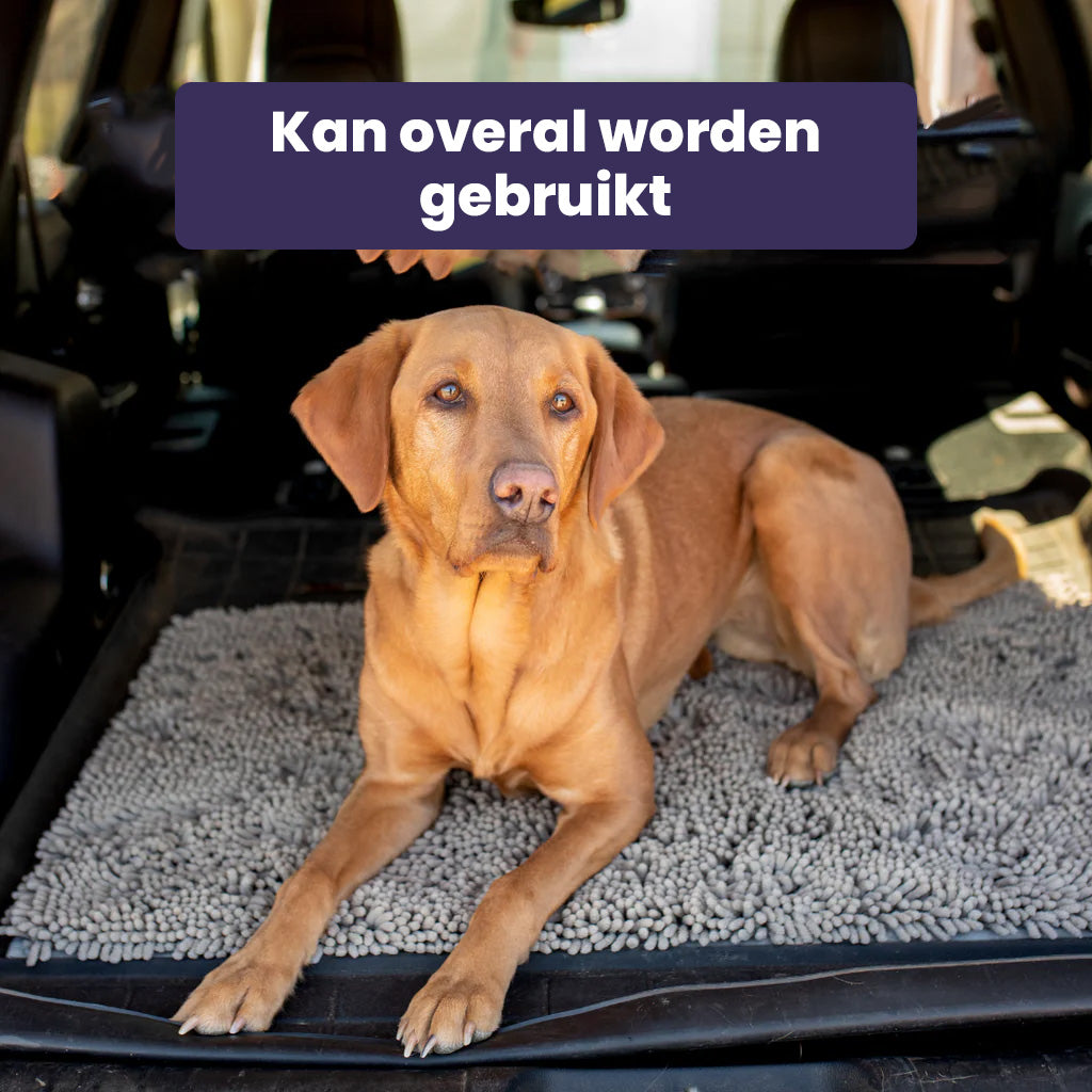 Clean Paw Mat - Honden Deur Schoonloop Mat