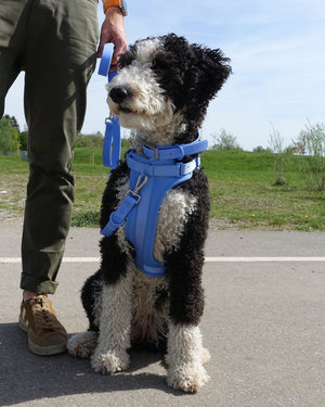 Pawfect Fit Harnas Voor Honden