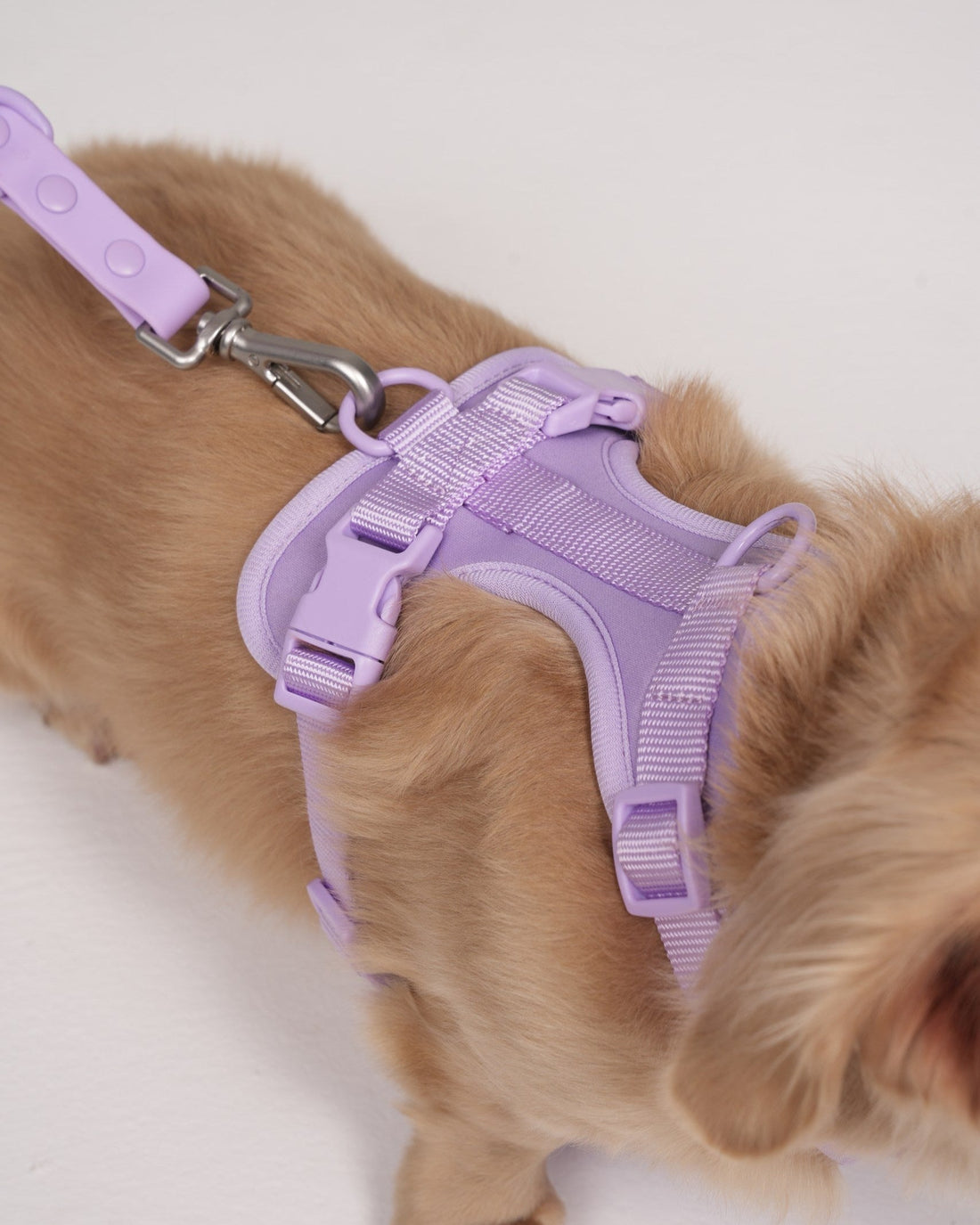 Pawfect Fit Harnas Voor Honden