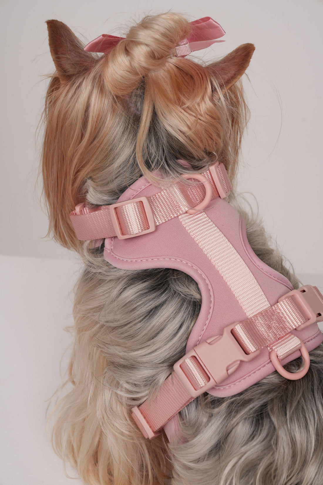 Pawfect Fit Harnas Voor Honden
