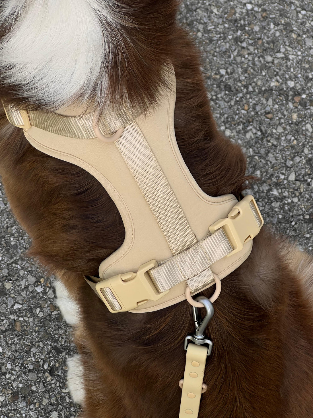 Pawfect Fit Harnas Voor Honden