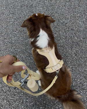 Pawfect Fit Harnas Voor Honden