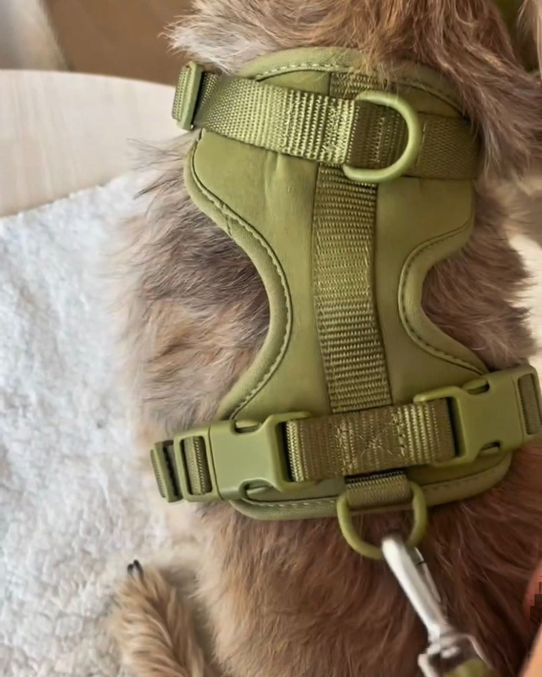 Pawfect Fit Harnas Voor Honden