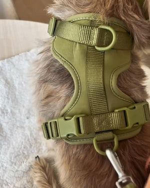 Pawfect Fit Harnas Voor Honden