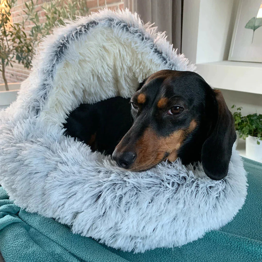Honden Droombedje - Waar Dromen Met Een Zachte Staart Beginnen