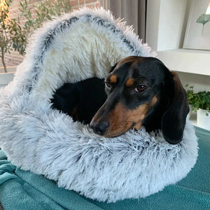 Honden Droombedje - Waar Dromen Met Een Zachte Staart Beginnen