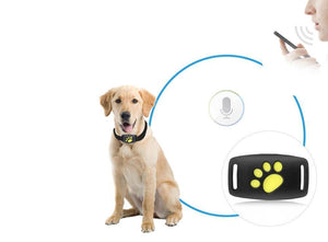 TrackCat - GPS Volgsysteem voor Katten met Real-Time Updates