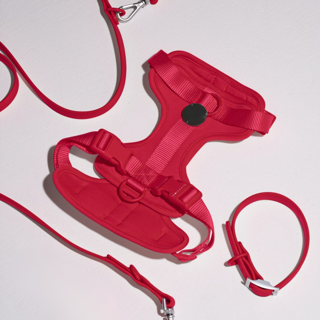 Rood / XL