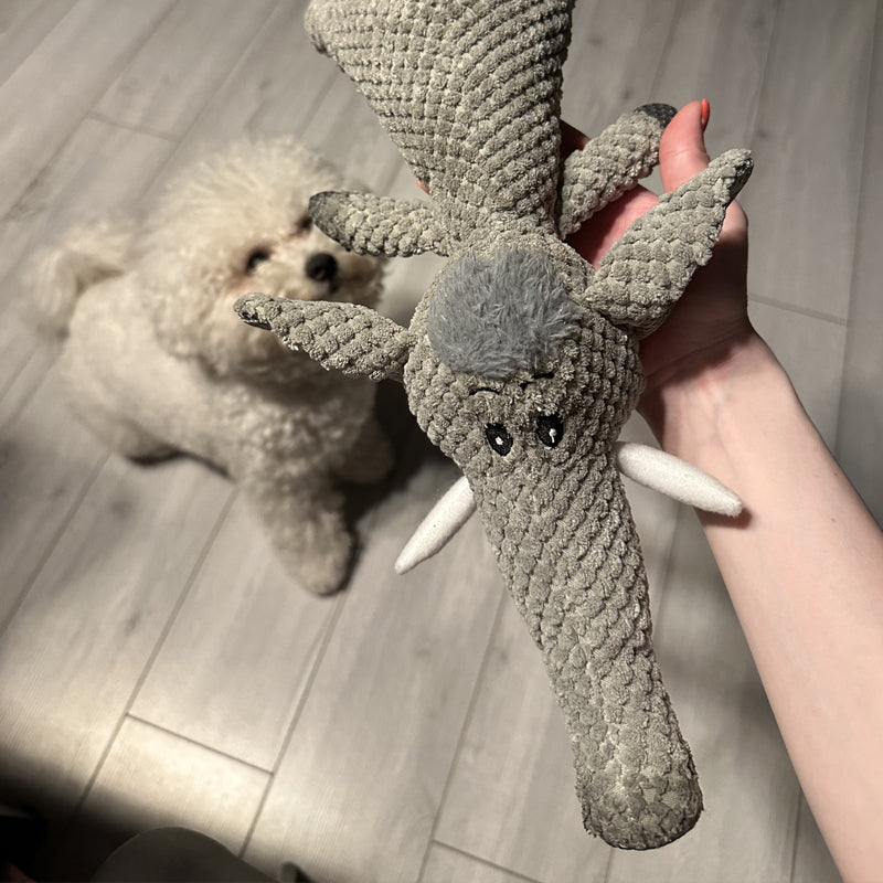 Extra Sterk Honden Speeltje