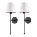 Zwart 1 +1 Gratis