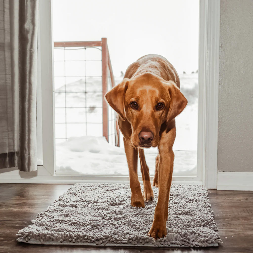 Clean Paw Mat - Honden Deur Schoonloop Mat
