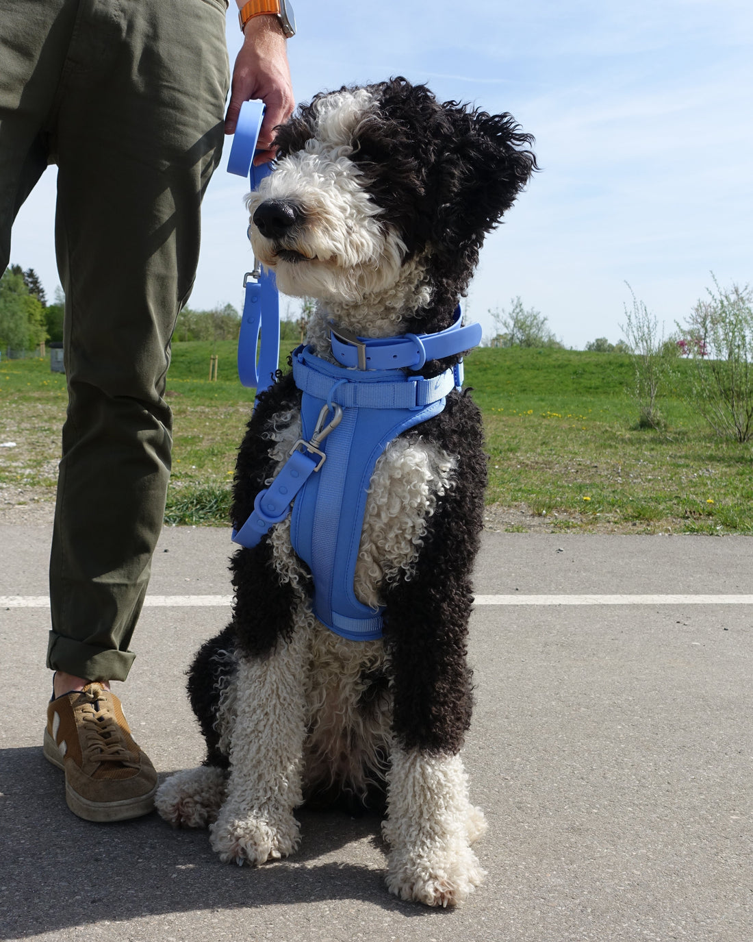 Pawfect Fit Harnas Voor Honden