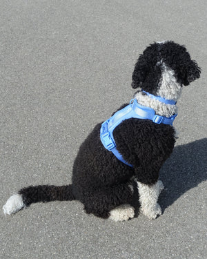 Pawfect Fit Harnas Voor Honden