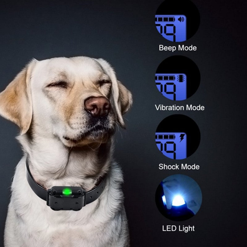 Electric Training Collar | Waterdicht en oplaadbaar voor alle honden
