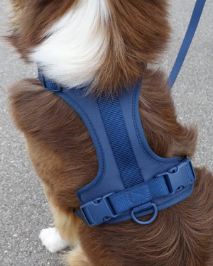 Pawfect Fit Harnas Voor Honden