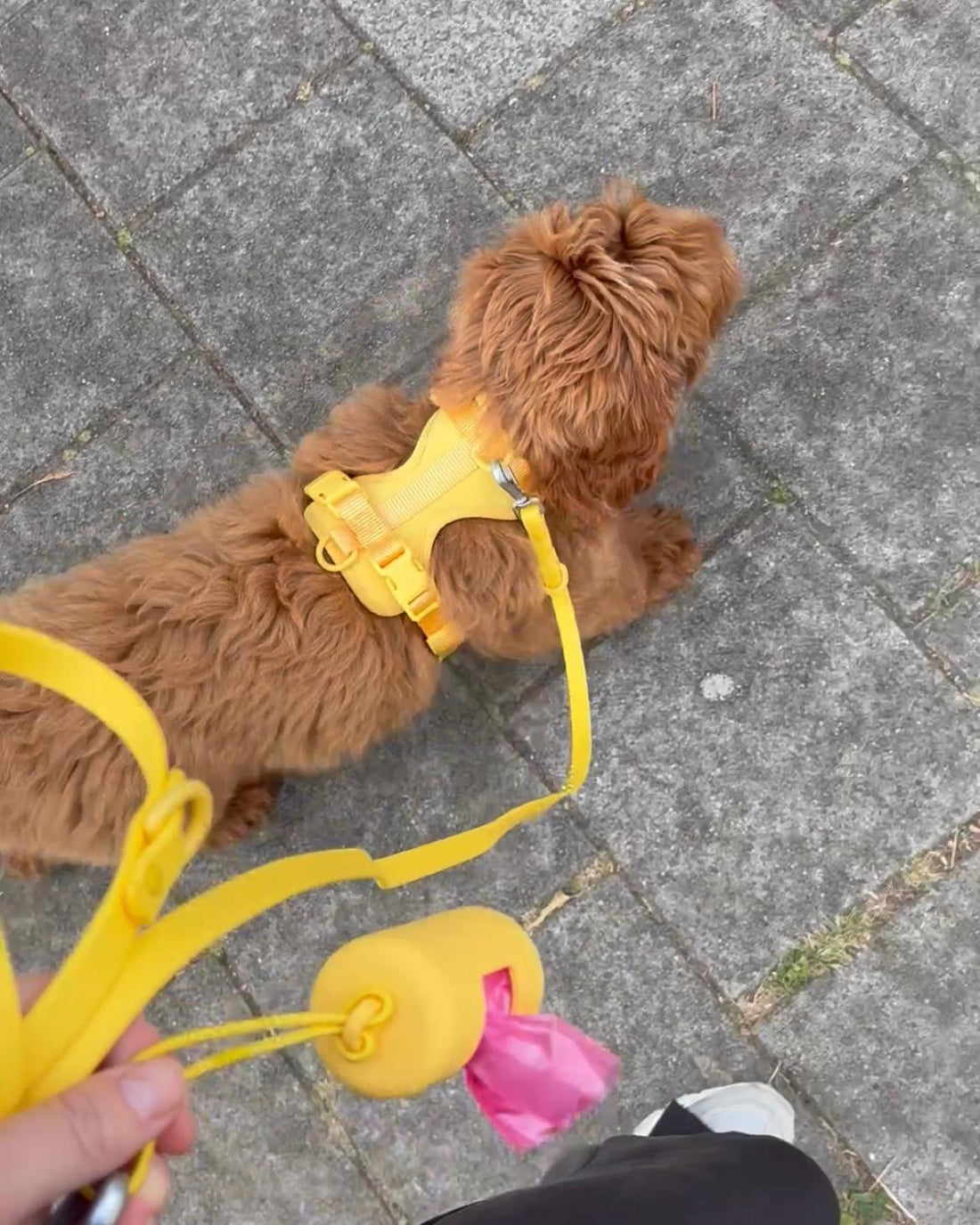 Pawfect Fit Harnas Voor Honden