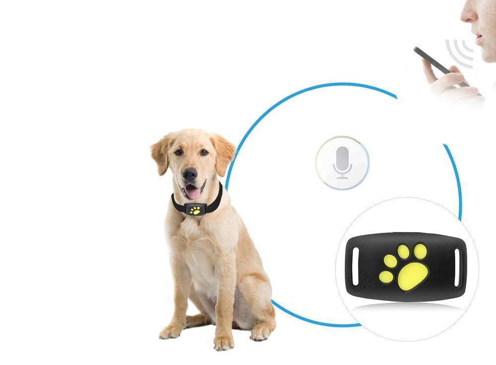 TrackCat - GPS Volgsysteem voor Katten met Real-Time Updates